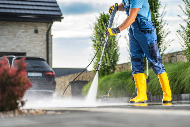Professional Pressure Washing in Ravenswood, WV